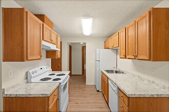 One Bedroom Standard (1) 065 floor plan
